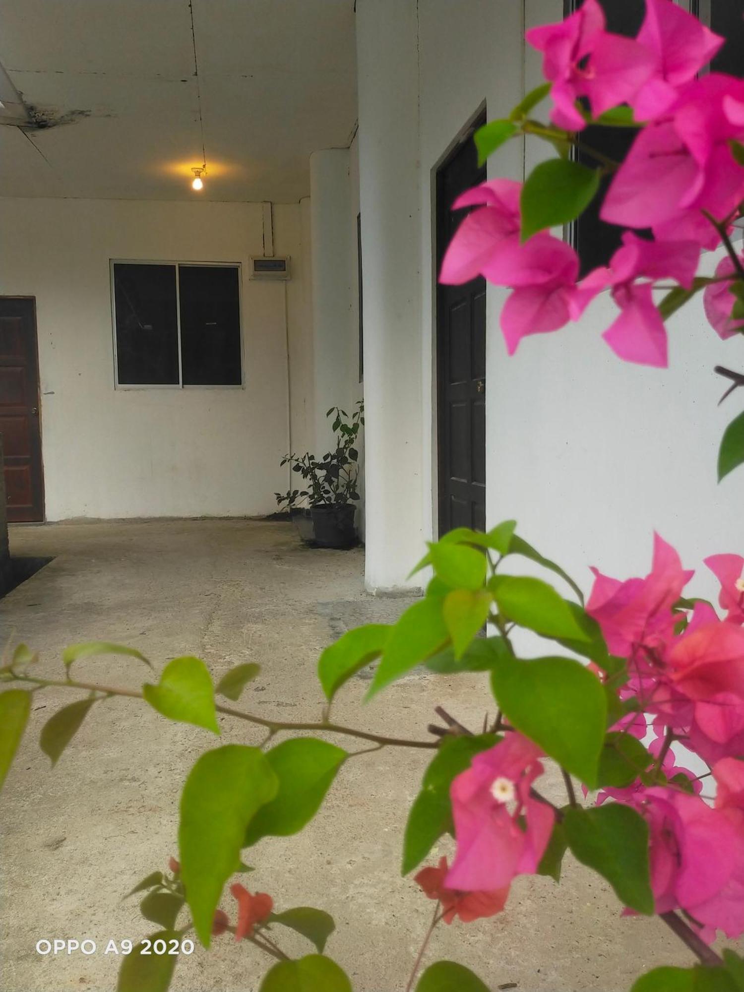 Sukau Tomanggong View Bed & Breakfast Экстерьер фото