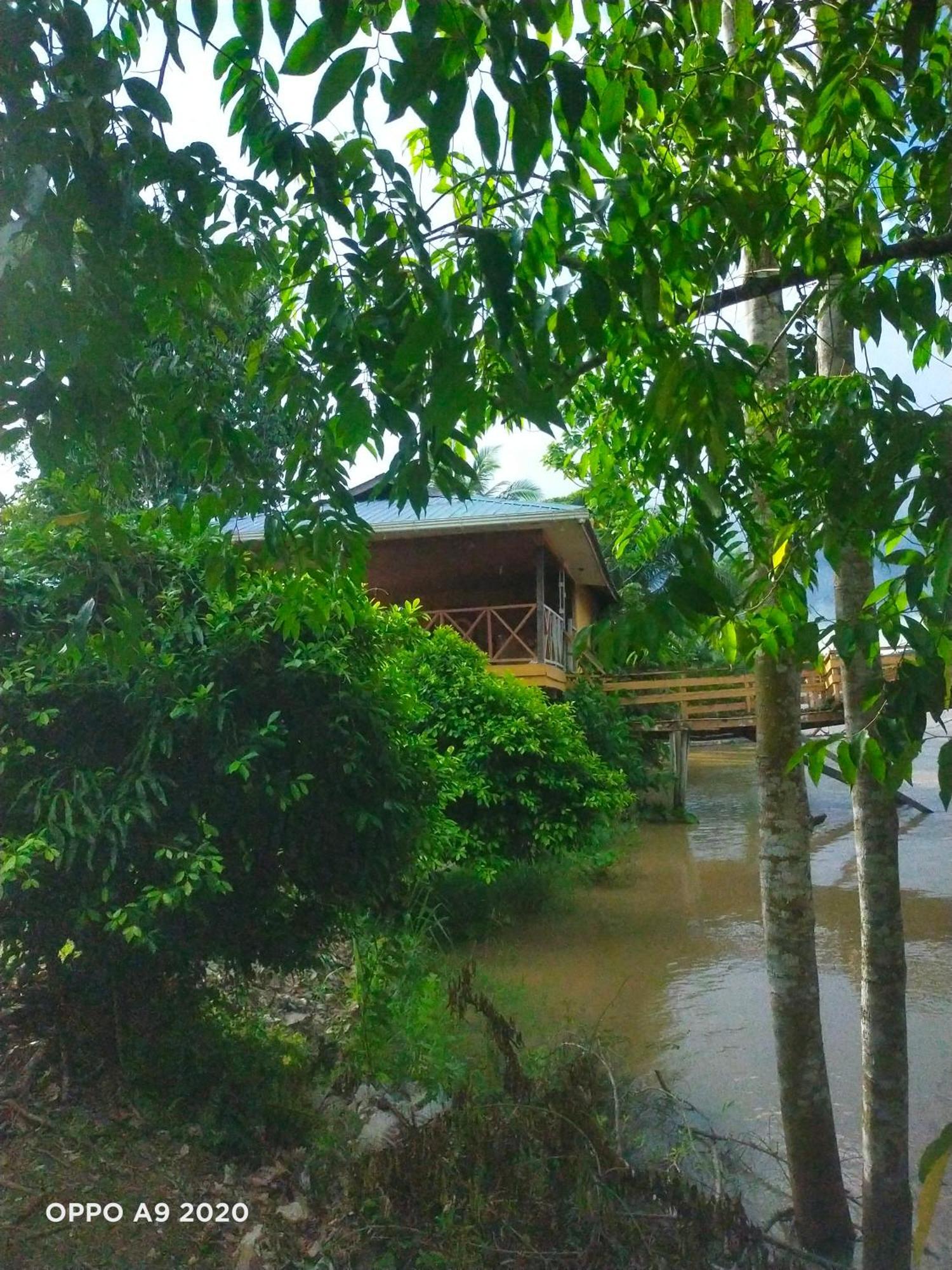 Sukau Tomanggong View Bed & Breakfast Экстерьер фото